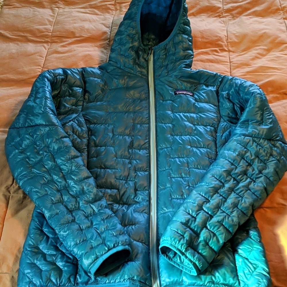 Patagonia Micro Puff Hoodie